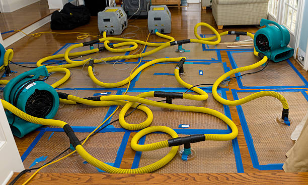 Professional Basement Flood Cleanup technician working in Ben Lomond, CA